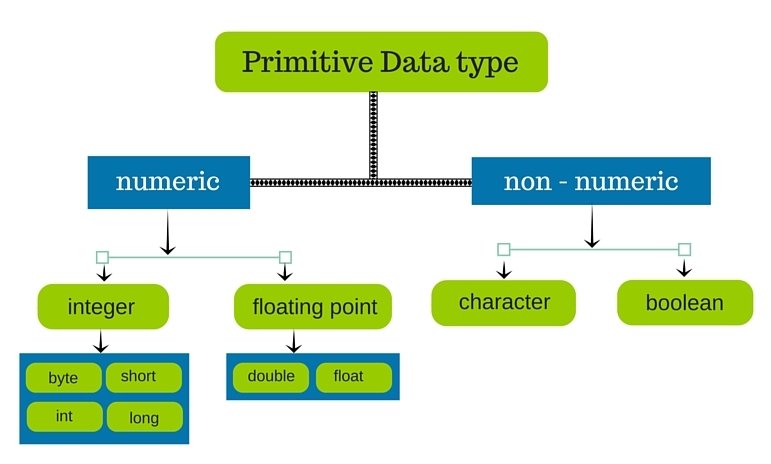 Уровень java. Primitive data Type. Primitive data Types in java. Types in java. Типы данных джава.